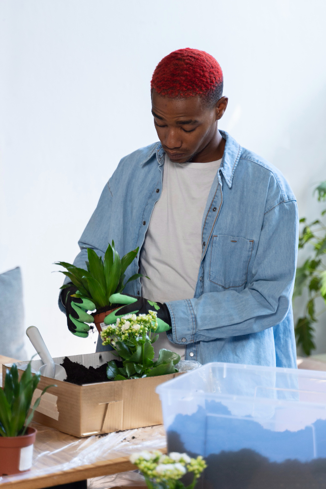 Sustainability Strategy